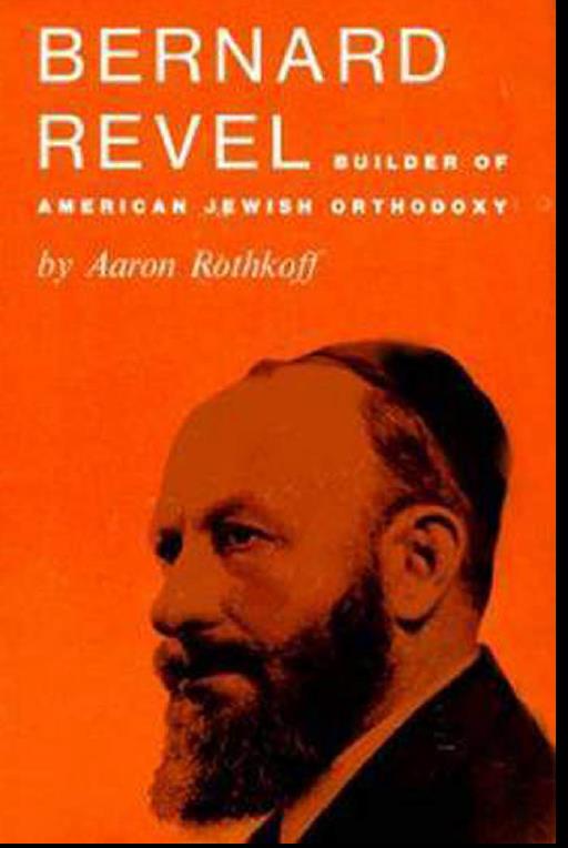 Revel book Cover