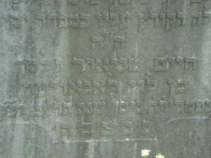 DSC01698